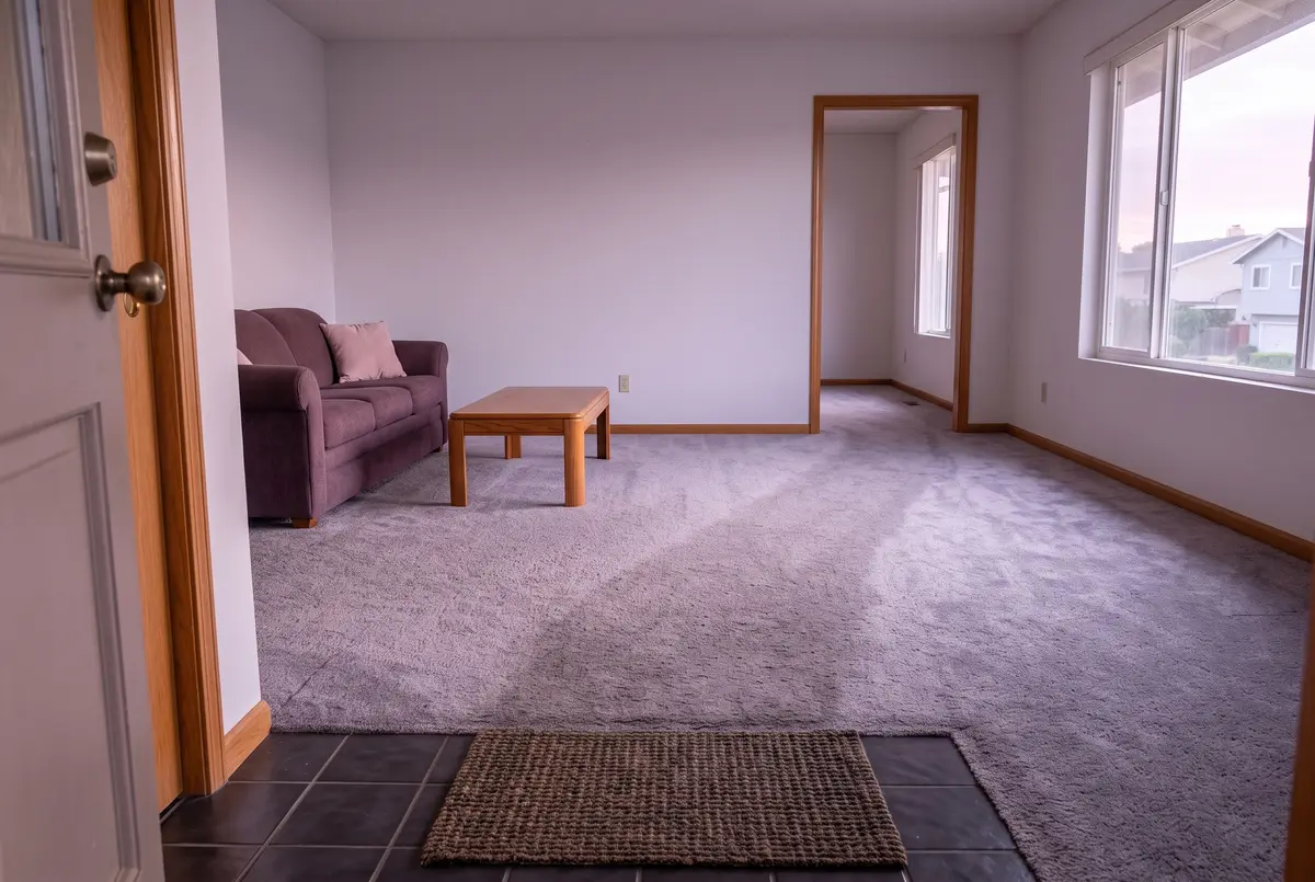Illustration of the carpet just inside a front door: a heather-gray traffic path running from the doormat across the room, a little darker than the carpet on either side.